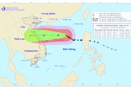 Dự báo bão số 8 mới nhất vào sáng nay 23-10