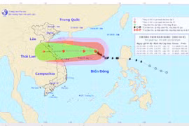 Dự báo bão số 8 mới nhất vào sáng nay 23-10