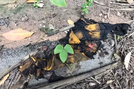 Bình Dương: Bắt đối tượng đổ xăng đốt thiếu nữ 15 tuổi tử vong