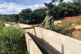 Giải "cơn khát" cho cánh đồng Ya Chor