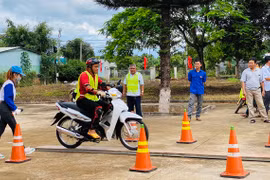 Đak Đoa: Hơn 500 thanh niên tham gia Ngày hội "Tôi yêu Tổ quốc tôi"
