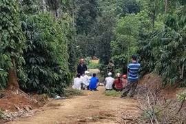 Nghi án cha giết 2 con nhỏ rồi tự tử trong chòi rẫy