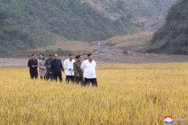 Em gái ông Kim Jong Un tái xuất hiện sau 2 tháng, thị sát vùng lũ cùng anh
