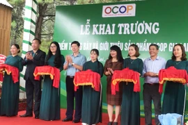 Khai trương điểm trưng bày, giới thiệu sản phẩm OCOP tại Biển Hồ