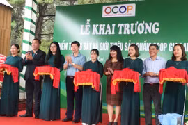 Khai trương điểm trưng bày, giới thiệu sản phẩm OCOP tại Biển Hồ