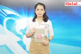 Gia Lai 48h: Thực phẩm tươi sống khan hàng, tăng giá