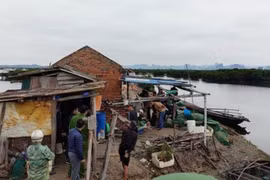 Nghi án chủ đầm nuôi trồng hải sản nổ súng hoa cải vào đầu tự sát