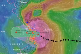 UBND tỉnh Gia Lai chỉ đạo khẩn trương khắc phục thiệt hại do mưa, lũ, bão gây ra