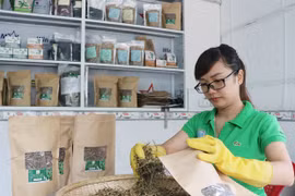 Hợp tác xã Tú An 1 xây dựng chuỗi giá trị từ cây dược liệu