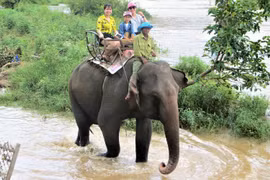 Đắk Lắk không đưa khách đến tham quan các điểm nuôi nhốt động vật hoang dã trái phép