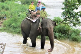 Đắk Lắk không đưa khách đến tham quan các điểm nuôi nhốt động vật hoang dã trái phép