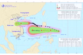 Bão số 8 hướng vào Hà Tĩnh - Quảng Trị, áp thấp nhiệt đới sắp thành bão 'đua theo' vào Biển Đông