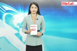 Gia Lai 48h: Hội Doanh nhân trẻ Gia Lai hướng về vùng lũ miền Trung