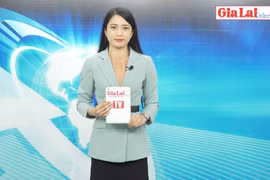 Gia Lai 48h: Hội Doanh nhân trẻ Gia Lai hướng về vùng lũ miền Trung