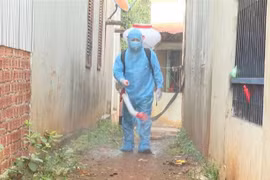 Quảng Ngãi: Trên 400 học sinh nghỉ học để phòng bệnh bạch hầu