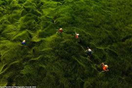 Những tác phẩm giành giải cuộc thi ảnh trên không