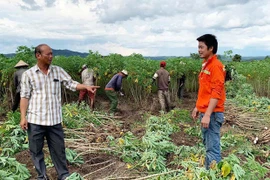 Tỷ phú "chân đất" ở Pờ Tó