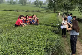 Du lịch chuyển đổi số: Xu hướng tất yếu của dòng chảy hiện đại