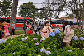 Vụ Lâm Đồng cấm tập trung, ghi âm, ghi hình, chụp ảnh ở nhiều khu vực: Nhiều con đường hoa đẹp có bị cấm chụp hình ?