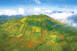 Hâm nóng thị trường du lịch