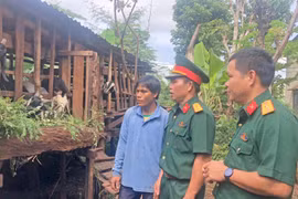 Ban Chỉ huy Quân sự huyện Chư Pưh quan tâm hỗ trợ sinh kế cho người nghèo