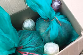 Bắt xe khách chở nhiều động vật hoang dã quý hiếm