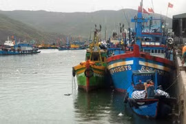 Kịp thời cứu nạn 11 ngư dân bị chìm tàu ở cửa biển Quy Nhơn