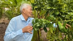 Quảng Ngãi: Ông nông dân nuôi con đặc sản đầy gai nhọn hoắt, trồng vườn "lung tung" mà thành tỷ phú