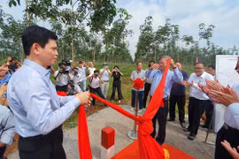 Bàn giao mặt bằng xây dựng giai đoạn 1 dự án sân bay Long Thành