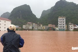 Thích nghi với sự bất định