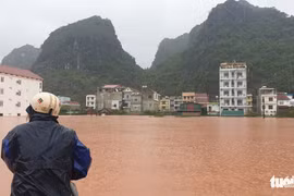 Thích nghi với sự bất định