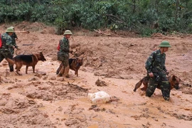 Hy sinh giữa thời bình