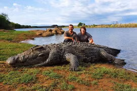 Phát hiện cá sấu khổng lồ 5,4 mét chết bí ẩn, mổ bụng mới rõ nguyên nhân