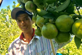 Thầy giáo trẻ có thu nhập nửa tỷ đồng nhờ công việc làm thêm