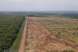 Hoàn thiện Báo cáo nghiên cứu khả thi Dự án sân bay Long Thành