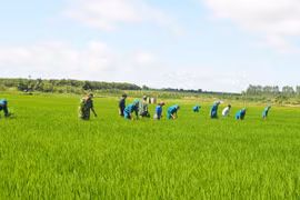 Tiếp tục đổi mới nội dung và phương pháp dân vận