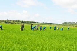 Tiếp tục đổi mới nội dung và phương pháp dân vận