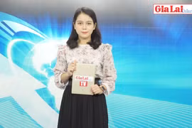 Gia Lai 48h: Hàng giả, hàng nhái vẫn trôi nổi trên thị trường