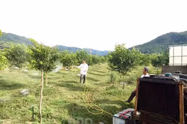 Một nông dân tỉnh Bình Định sáng chế ra xe phun thuốc sâu rất là ngầu, "nhoáng cái" đã chạy xong 10ha vườn