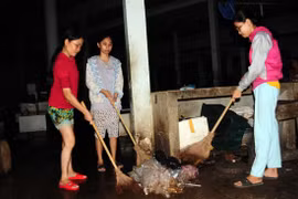 Mẹ, con và tiếng chổi tre xao xác chợ quê