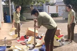 Gia Lai: Tiêu hủy tang vật vi phạm hành chính bị tịch thu