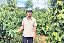 Trở thành tỷ phú nhờ làm trang trại kết hợp dịch vụ