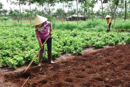 Chư Sê "trải thảm đỏ" đón doanh nghiệp