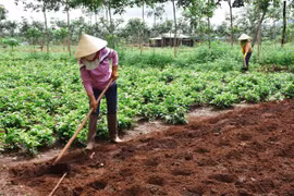 Chư Sê "trải thảm đỏ" đón doanh nghiệp
