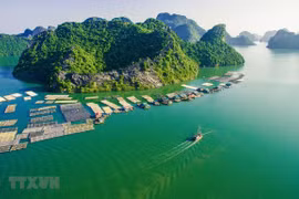 Du lịch Cát Bà: "Nàng công chúa ngủ quên" đã thức giấc