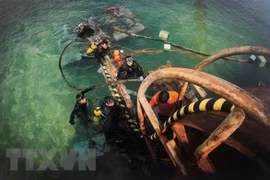 Hoàn thành dự án đưa điện lưới quốc gia ra xã đảo Nhơn Châu