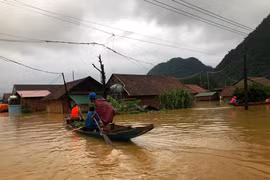 LŨ LỤT MIỀN TRUNG: Thiệt hại nhân mạng, vì sao?
