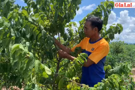 R'Ô Khen: Vượt khó làm giàu