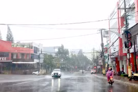 Không tổ chức kinh doanh vận tải tại khu vực bão số 9 đổ bộ