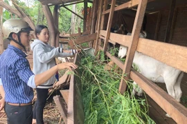 Chư Pưh nỗ lực xây dựng nông thôn mới